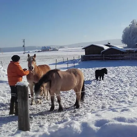 Appartamento Koesseineblick *