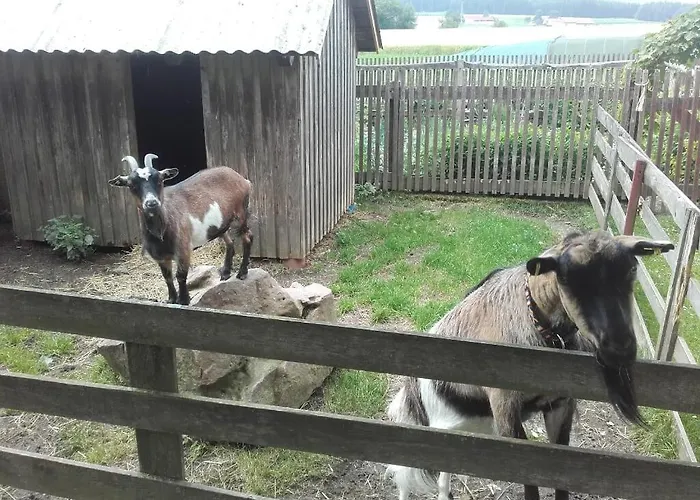 Διαμέρισμα Koesseineblick *