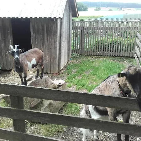 Apartamento Koesseineblick *