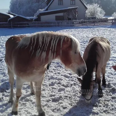 Koesseineblick Apartamento Pullenreuth