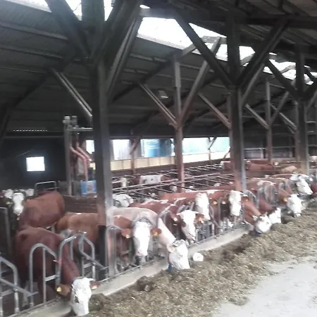 Koesseineblick Apartamento Pullenreuth