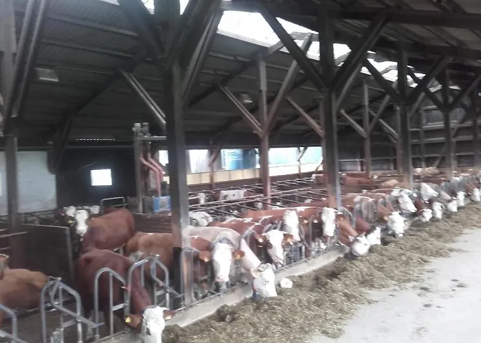 Koesseineblick Lägenhet Pullenreuth